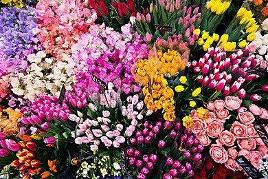 Epic喜加一：《[REDACTED]》免费领取